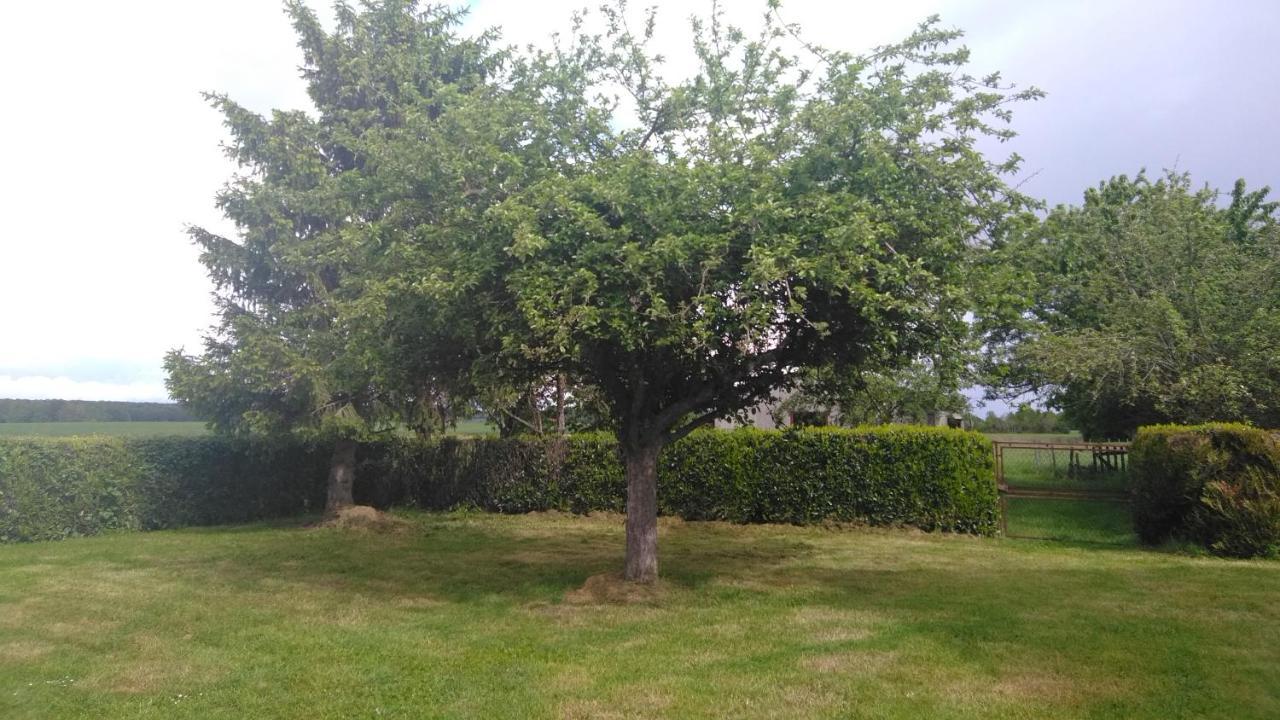 Grande Maison De Plain Pied Avec Jardin Arbore. Champignelles Exterior photo